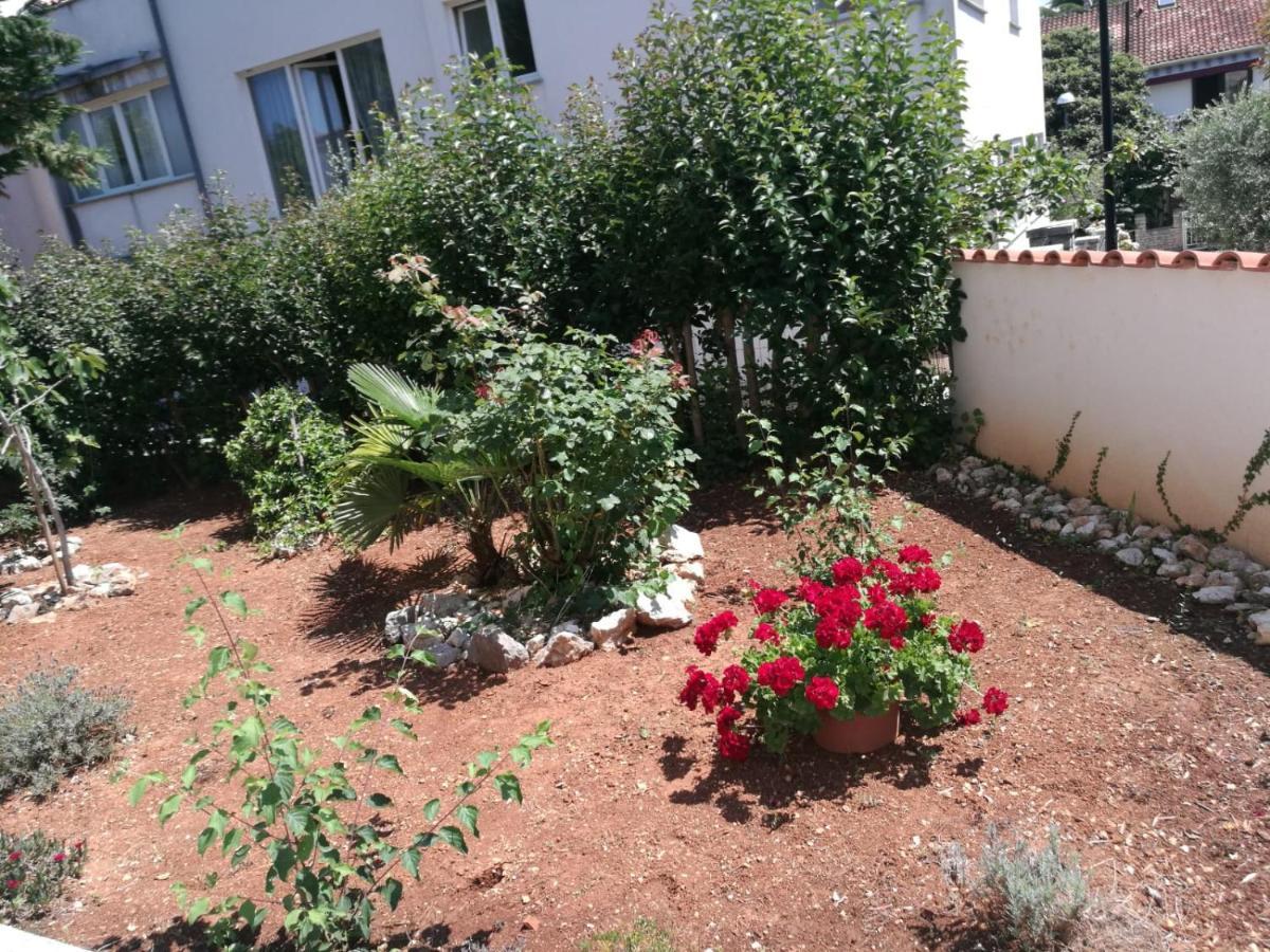 Ferienhaus Bozena Appartment 2 Vrsar Buitenkant foto